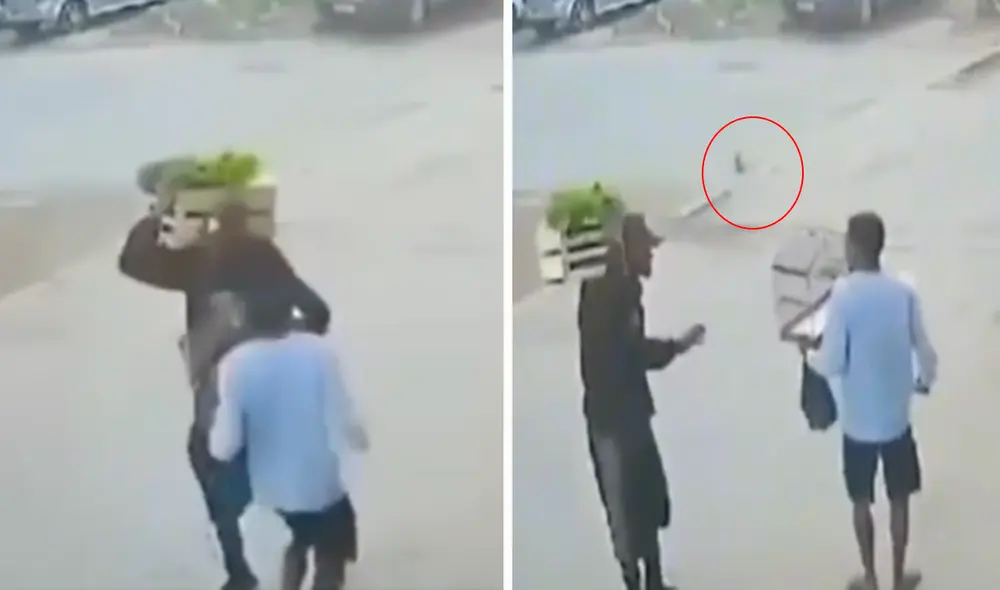 El joven enfureció y lanzó su jaula en medio de la pista tras perder a su mascota. Foto: captura de TikTok