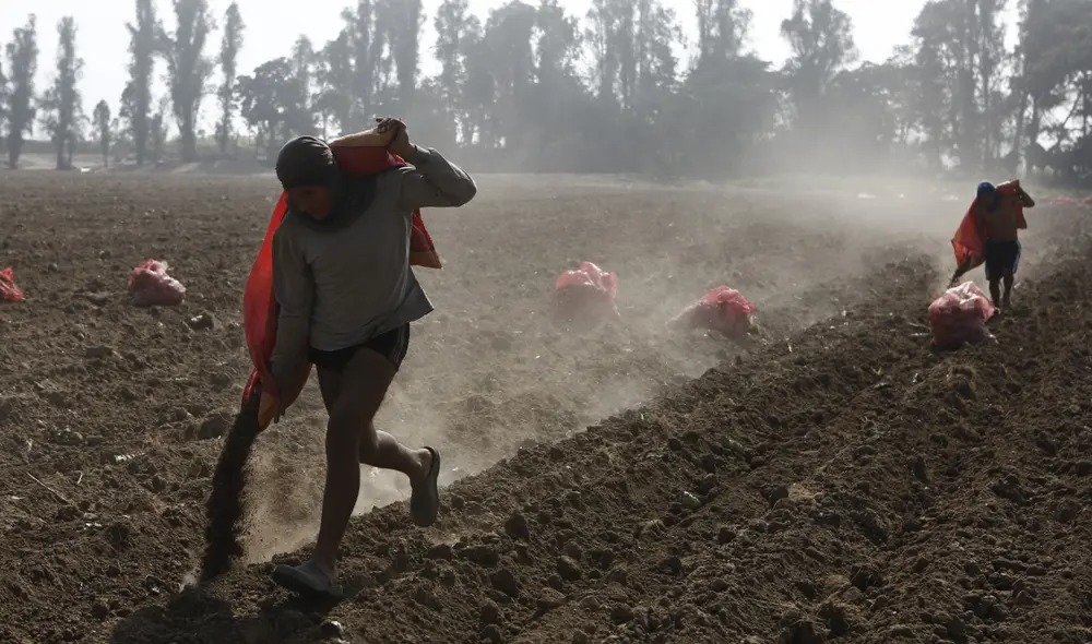 El ministro Andrés Alencastre indicó que, además de urea, también distribuirán guano de isla y abonos orgánicos. Foto: Marco Cotrina/La República El ministro Andrés Alencastre indicó que, además de urea, también distribuirán guano de isla y abonos orgánicos. Foto: Marco Cotrina/La República