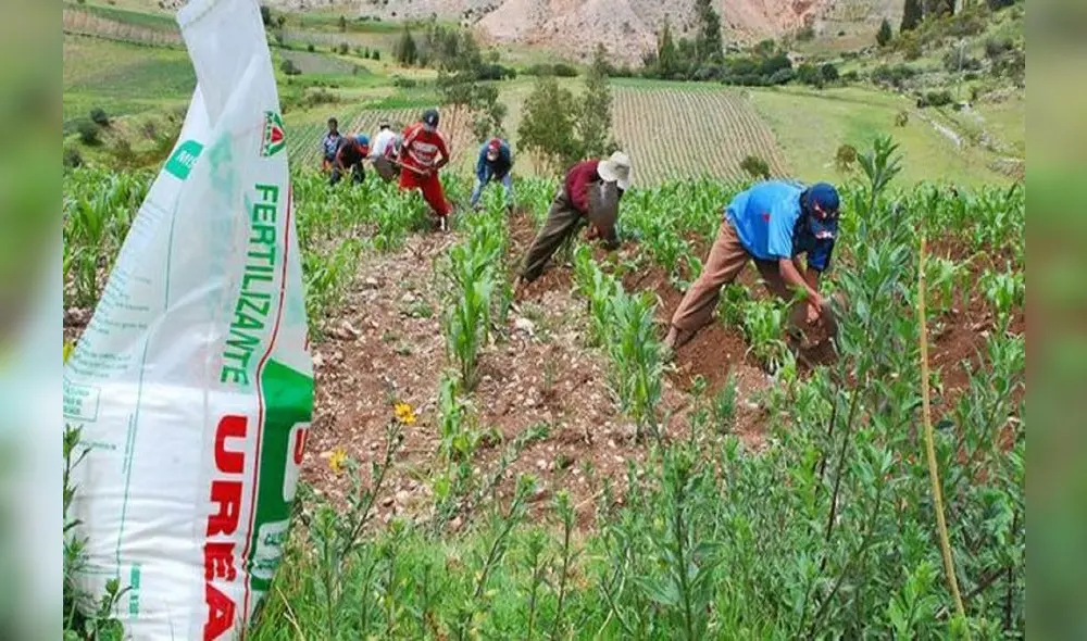 Proceso de selección terminó con la elección de MF fertilizantes, que entregará a US$ 760 la tonelada de urea. Foto: Andina. Proceso de selección terminó con la elección de MF fertilizantes, que entregará a US$ 760 la tonelada de urea. Foto: Andina.