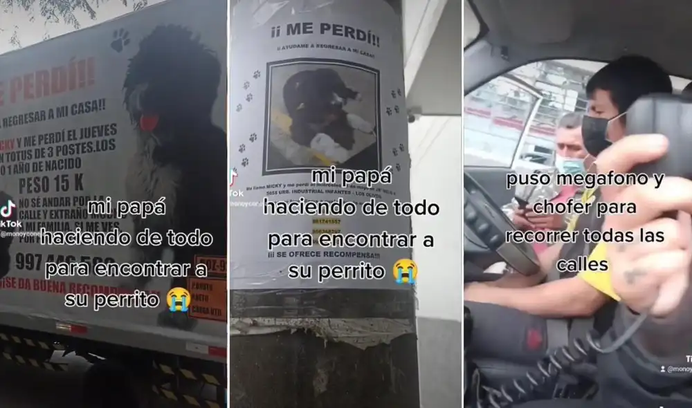 Los usuarios pudieron ser testigos del ansiado reencuentro de la mascota con su dueño. Foto: captura de TikTok Los usuarios pudieron ser testigos del ansiado reencuentro de la mascota con su dueño. Foto: captura de TikTok