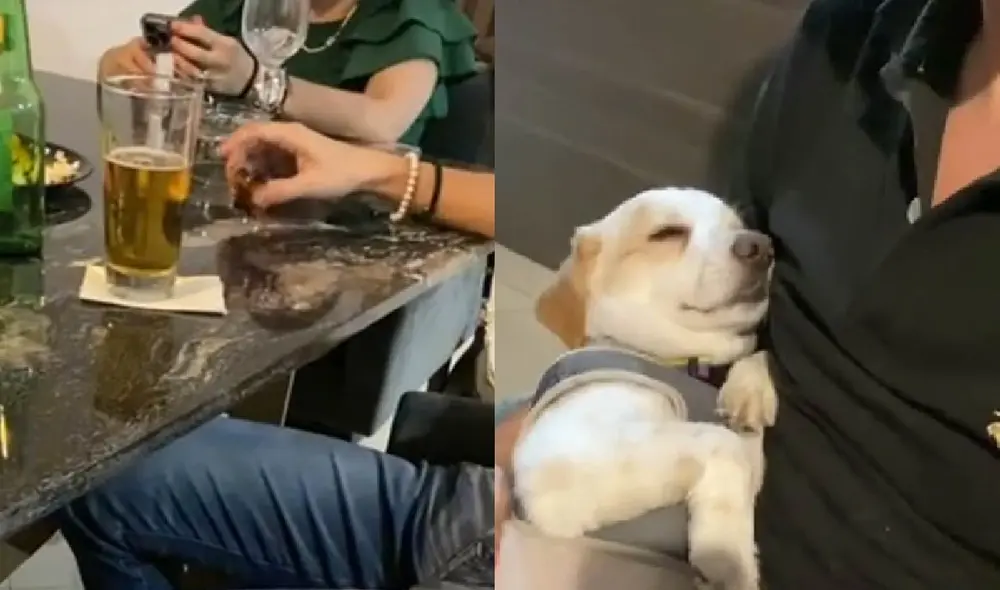 El perrito fue cargado por su cuidador para dormir tranquilamente. Foto: captura de TikTok El perrito fue cargado por su cuidador para dormir tranquilamente. Foto: captura de TikTok