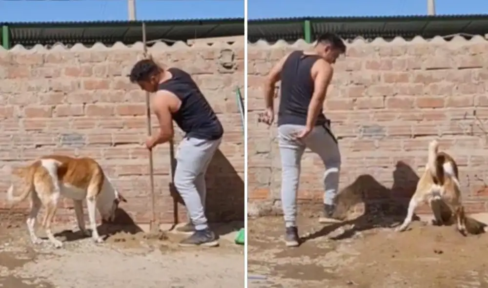 La viral escena compartida por Marvin (@tocachecolors) logró obtener más de medio millón de reproducciones en poco tiempo. Foto: captura de TikTok La viral escena compartida por Marvin (@tocachecolors) logró obtener más de medio millón de reproducciones en poco tiempo. Foto: captura de TikTok