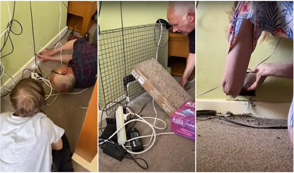 El clip es viral en TikTok y otras redes sociales. Foto: composición/ TikTok