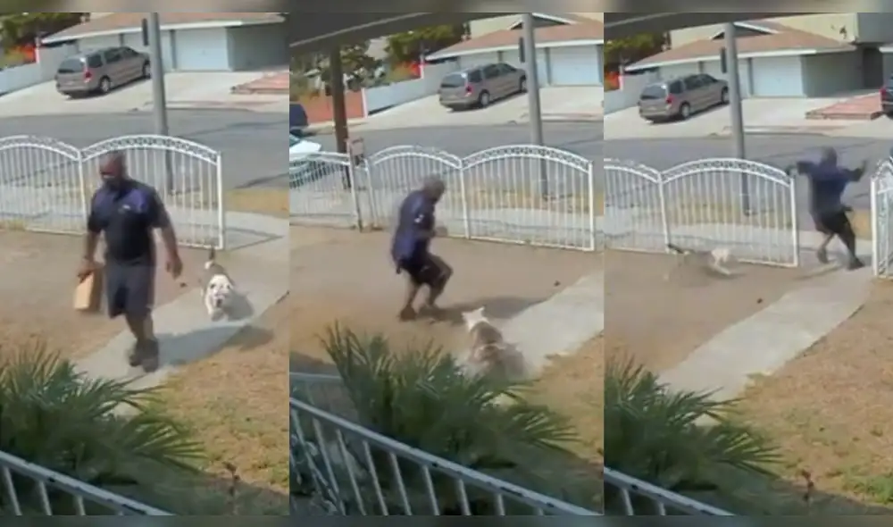 El repartidor no se dio cuenta de que el perro estaba detrás de él. Foto: composición/ @motiva_finanzas/TikTok El repartidor no se dio cuenta de que el perro estaba detrás de él. Foto: composición/ @motiva_finanzas/TikTok