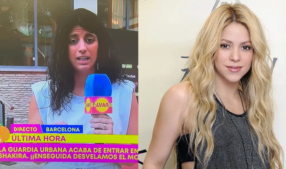 El hermano de Shakira acudió en la mañana a la comisaría para denunciar a los dos fanáticos. El hermano de Shakira acudió en la mañana a la comisaría para denunciar a los dos fanáticos.