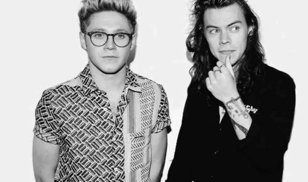 Niall Horan estuvo en concierto de su excompañero Harry Styles.