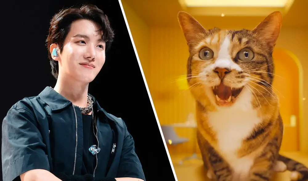 J-Hope sacó su lado 'cat-lover' y difundió un adorable video musical. Foto: captura de YouTube/BIGHIT J-Hope sacó su lado 'cat-lover' y difundió un adorable video musical. Foto: captura de YouTube/BIGHIT