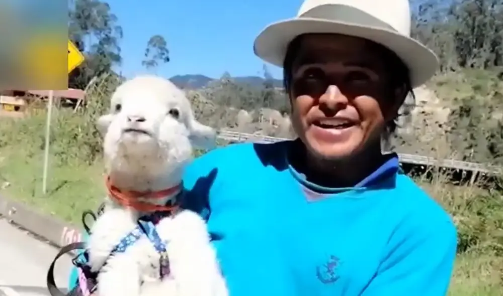 La mascotita sufrió la pérdida de su madre a los pocos días de nacida. Foto: Captura/Youtube La mascotita sufrió la pérdida de su madre a los pocos días de nacida. Foto: Captura/Youtube