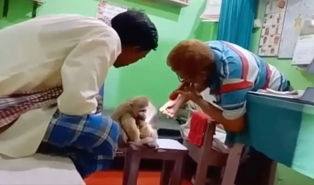 El clip es viral en TikTok y otras redes sociales. Foto: composición/ TikTok El clip es viral en TikTok y otras redes sociales. Foto: composición/ TikTok