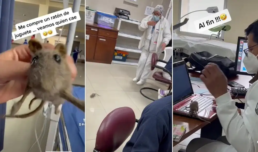 La viral escena compartida por la usuaria Belen (@anbel506) logró obtener miles de reproducciones y reacciones. Foto: captura de TikTok