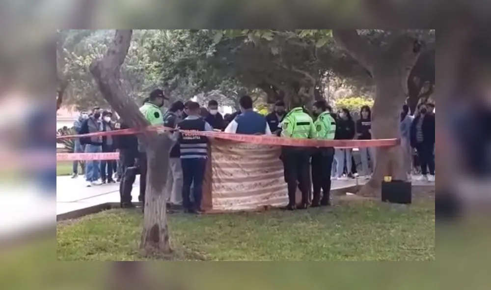 El crimen se produjo al promediar las 6.45 a. m. del miércoles 22 de junio. Foto: captura video Enfoque Digital