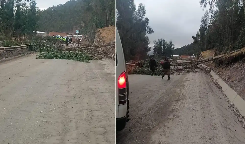 La vía se encuentra obstruida con palos y piedras e impiden el paso de transporte de minerales de la empresa MMG Las Bambas. Foto: Difusión
