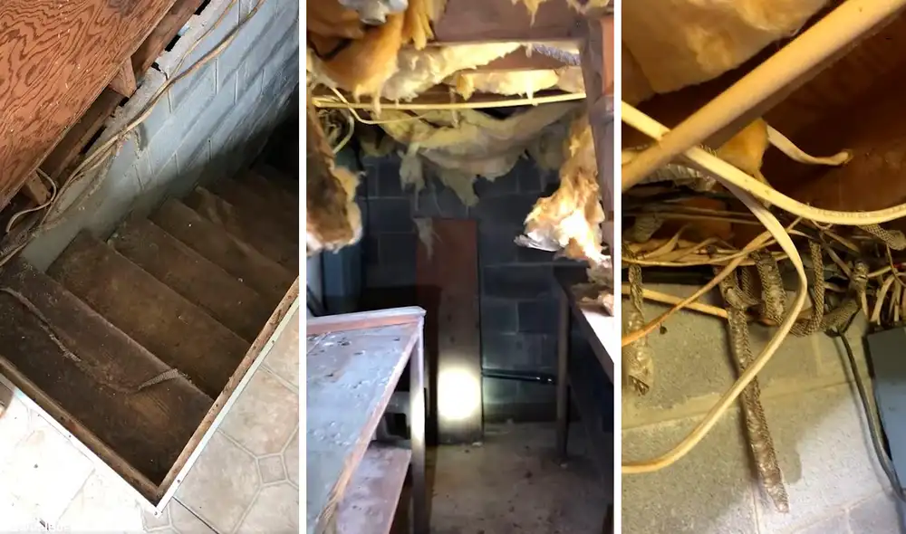 Una familia quedó aterrada por el hallazgo que hicieron unos especialistas en el interior de su hogar, pero por suerte todo terminó bien. Foto: captura de YouTube
