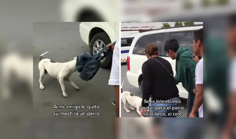 La grabación obtuvo más de 2,1 millones de reproducciones en la red social. Foto: composición/ captura de @christhmartinez/TikTok La grabación obtuvo más de 2,1 millones de reproducciones en la red social. Foto: composición/ captura de @christhmartinez/TikTok