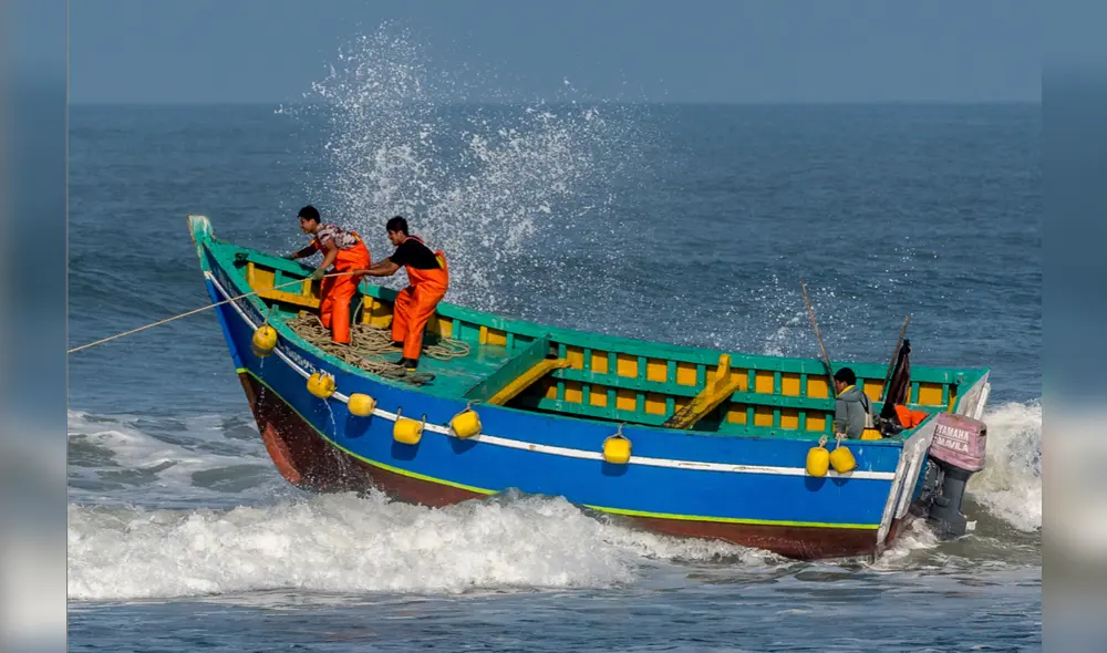 Especialista sostuvo que se identificó el impacto de la explotación de las especies marinas. Foto: Oceana