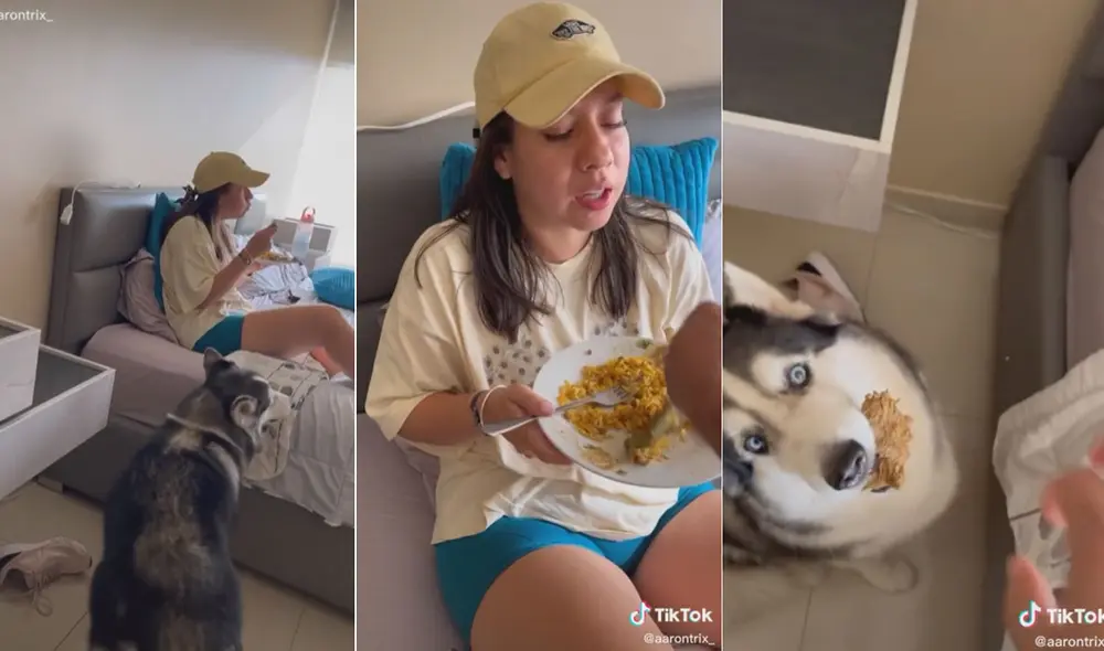 Miles de usuarios no han parado de reír con estas imágenes. Foto: captura de TikTok Miles de usuarios no han parado de reír con estas imágenes. Foto: captura de TikTok