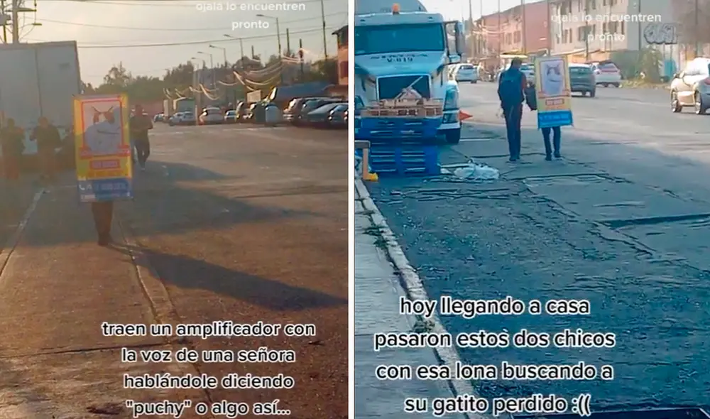 A la desesperada dueña del gato se le ocurrió llamarlo con un parlante y pasear con su foto por las calles. Foto: captura de TikTok A la desesperada dueña del gato se le ocurrió llamarlo con un parlante y pasear con su foto por las calles. Foto: captura de TikTok