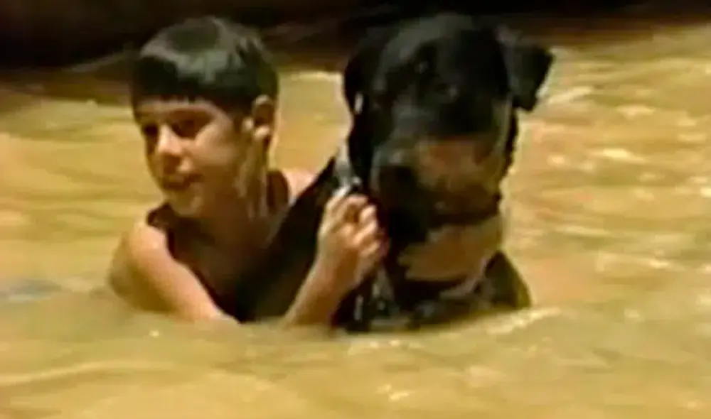 La familia de Orión logró salvarse al trasladarse a la azotea gracias a las alertas del can. Foto: El Diario La familia de Orión logró salvarse al trasladarse a la azotea gracias a las alertas del can. Foto: El Diario