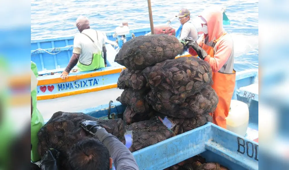 La exportación de este producto dinamiza la economía regional. Foto. La República La exportación de este producto dinamiza la economía regional. Foto. La República