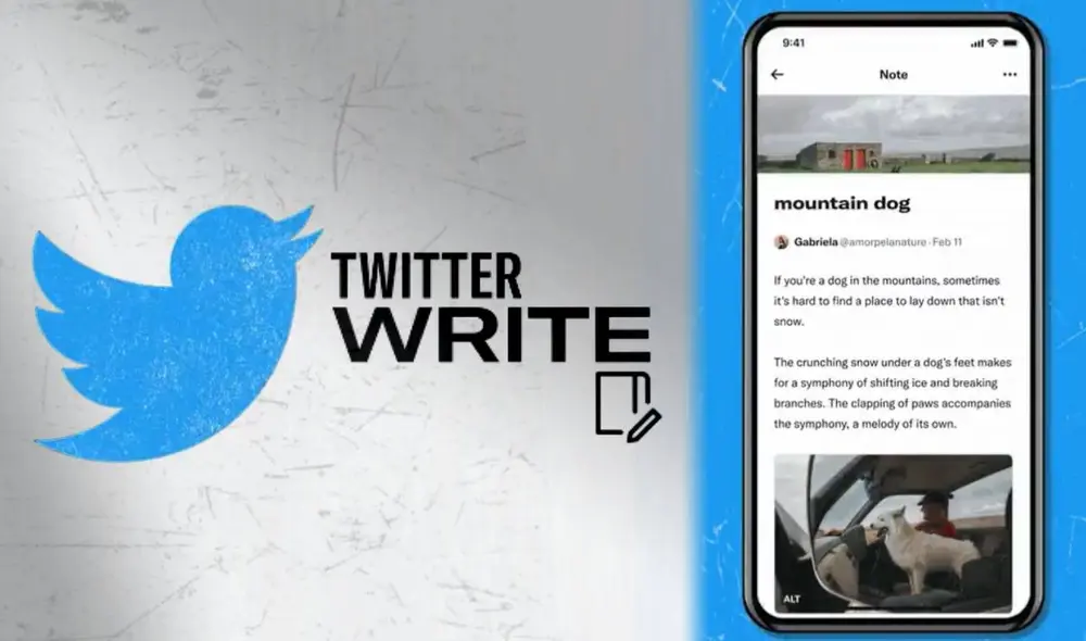 ¿No usas Twitter? ¿Te parece muy poco para expresar tus ideas? Atención, la vieja limitación de 280 caracteres podría tener los días contados. Foto: Twitter/composición