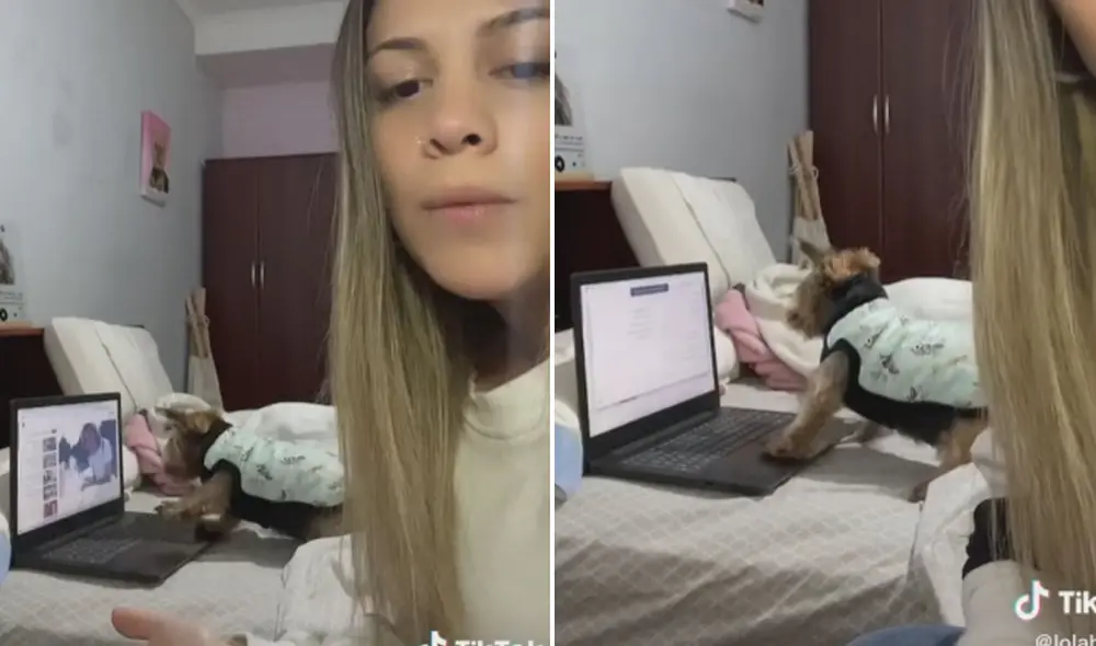 Miles de usuarios quedaron impresionados con la inteligencia de esta cachorra. Foto: captura de TikTok