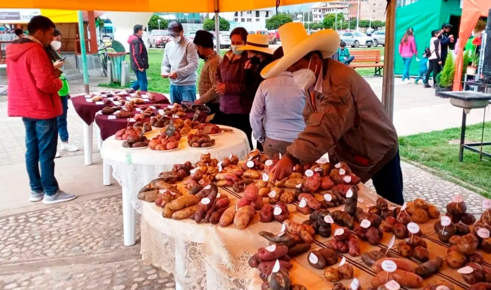 El horario de atención en la feria será de 9.00 a 18.00 horas. Foto: Gore Cajamarca El horario de atención en la feria será de 9.00 a 18.00 horas. Foto: Gore Cajamarca