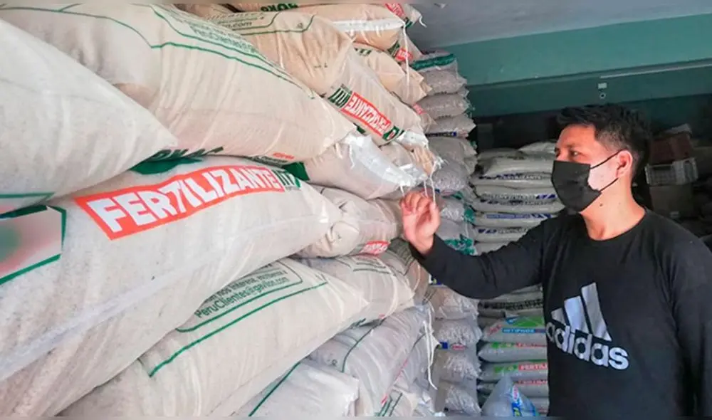 Agricultores lambayecanos registran perdidas de aproximadamente el 30%, debido al alza en los precios de los fertilizantes. Foto: Sedir. Agricultores lambayecanos registran perdidas de aproximadamente el 30%, debido al alza en los precios de los fertilizantes. Foto: Sedir.