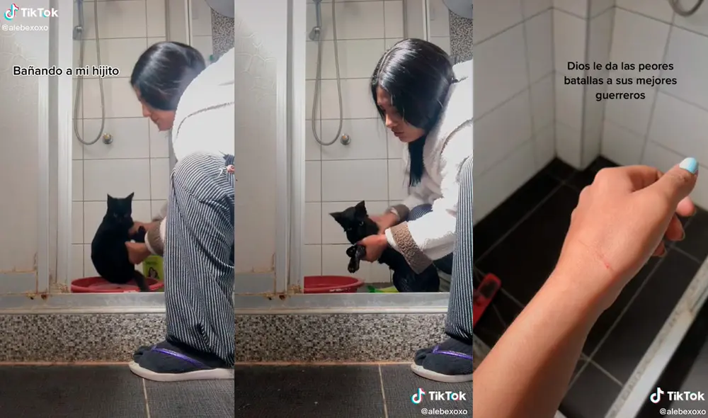 El gatito trató de escaparse del baño que le estaba dando su dueña. Foto: composición/ @alebexoxo/TikTok