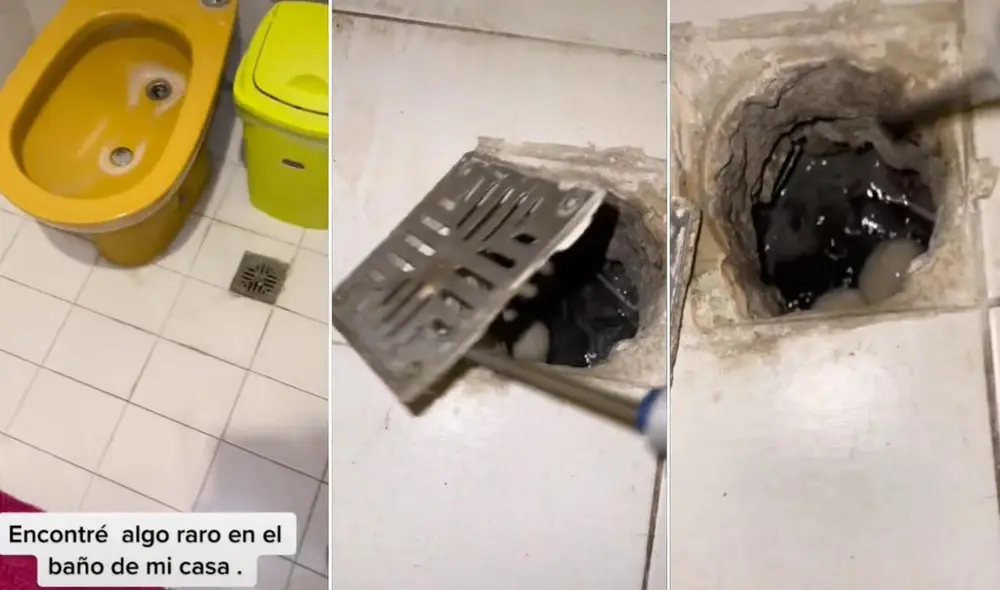 La viral escena compartida por el usuario Iván (@ivandelpa_ok) logró obtener más de 20 millones de reproducciones. Foto: captura de TikTok La viral escena compartida por el usuario Iván (@ivandelpa_ok) logró obtener más de 20 millones de reproducciones. Foto: captura de TikTok