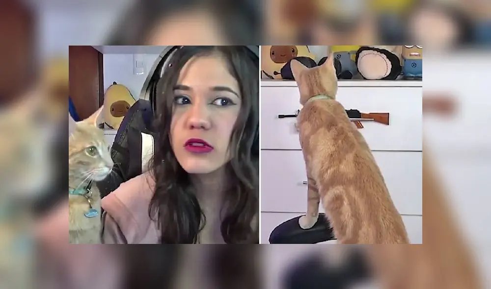 La grabación obtuvo más de 92.000 reproducciones en la red social. Foto: captura de TikTok