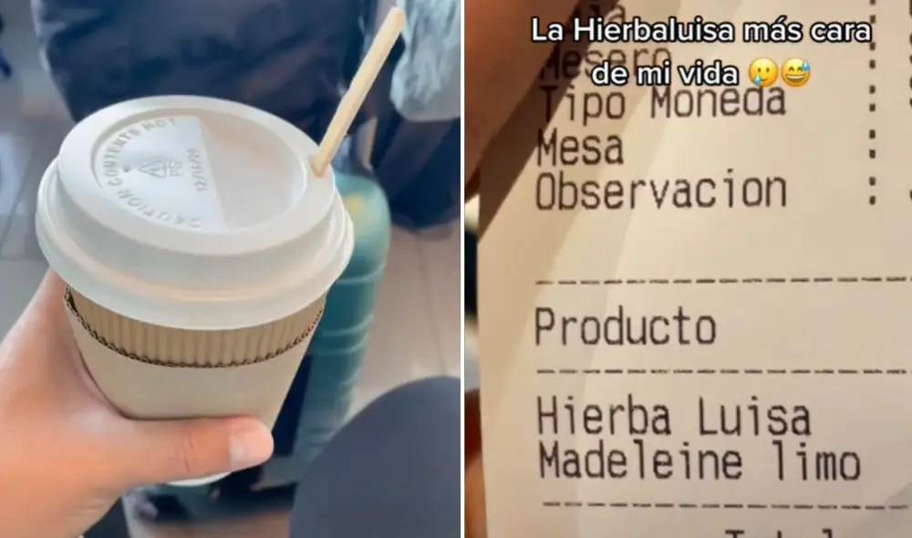 La viral escena compartida por la cuenta @atodocomer logró obtener miles de reproducciones y reacciones. Foto: captura de TikTok