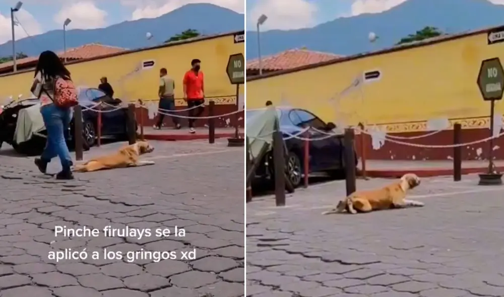 Miles de usuarios no han parado de reír con esta singular escena. Foto: captura de TikTok