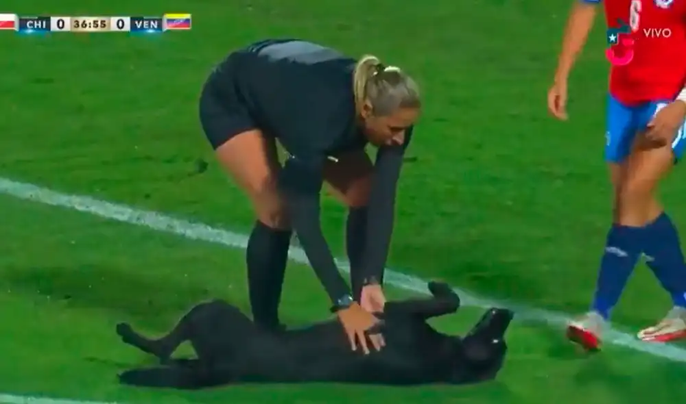 Perro interrumpió el juego del Chile vs. Venezuela. Foto: captura de Chilevisión Perro interrumpió el juego del Chile vs. Venezuela. Foto: captura de Chilevisión