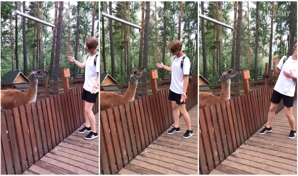 El video suma más de 33.000 me gusta. Foto: composición/ captura de TikTok