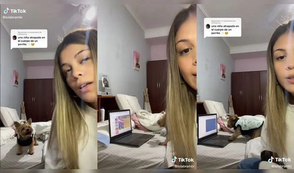 La chica presentó a su perrita en redes sociales. Foto: composición/ @lolabrambi/TikTok