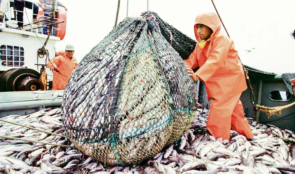 Proyecto de ley. Iniciativa presentada en noviembre del año pasado busca una nueva ley de pesca luego de 30 años. Foto: difusión