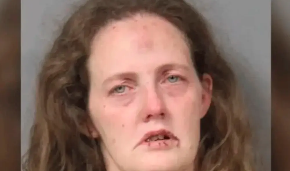 La enfermera de Michigan, Judith Sobol, fue acusada de asesinato en segundo grado. Foto: captura-Clarín La enfermera de Michigan, Judith Sobol, fue acusada de asesinato en segundo grado. Foto: captura-Clarín