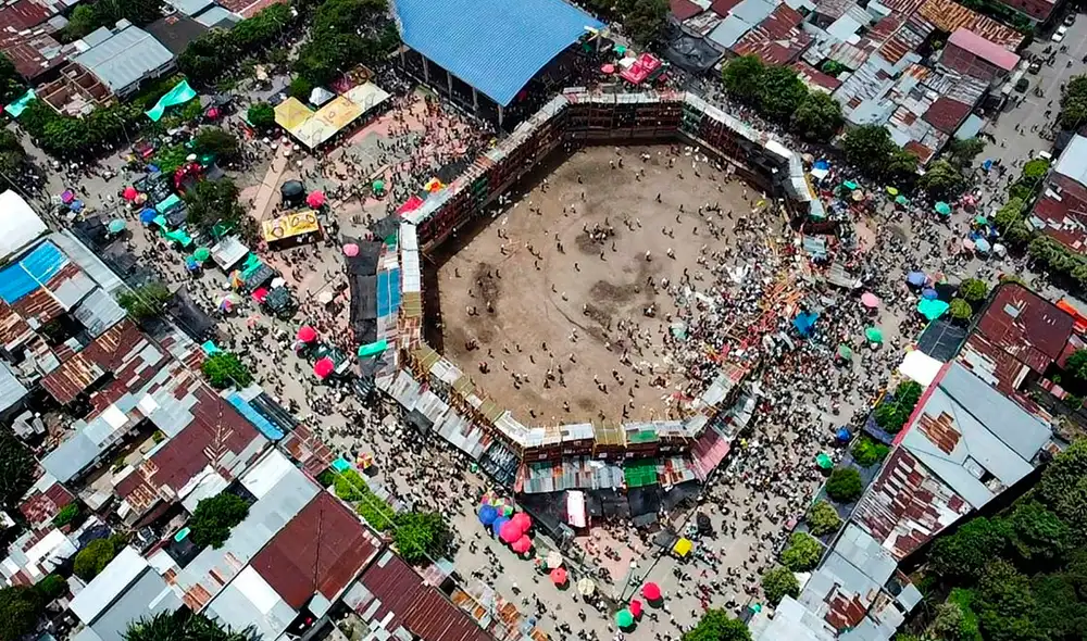 El toro había escapado de la plaza tras derrumbe. Foto: AFP El toro había escapado de la plaza tras derrumbe. Foto: AFP