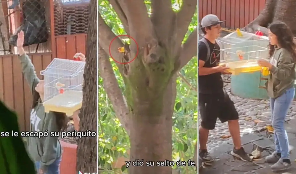 La viral escena compartida por el usuario @ilyanaquijano logró obtener miles de reproducciones y reacciones. Foto: captura de TikTok La viral escena compartida por el usuario @ilyanaquijano logró obtener miles de reproducciones y reacciones. Foto: captura de TikTok