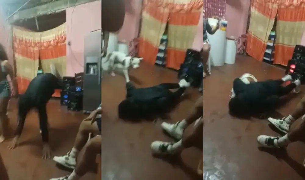 El clip suma más de 769.900 visualizaciones. Foto: composición/ TikTok El clip suma más de 769.900 visualizaciones. Foto: composición/ TikTok