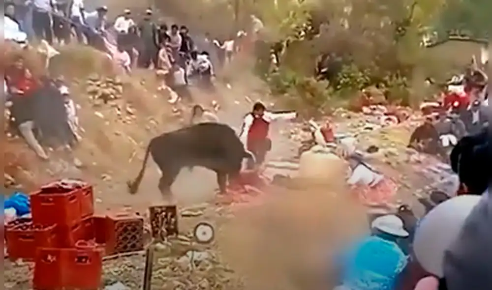 Mujer se encuentra internada en hospital mientras que el menor solo presenta heridas leves. Foto: captura de América TV