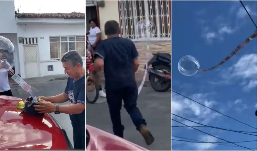 El video suma una gran cantidad de visualizaciones en TikTok. Foto: composición/ capturas de TikTok