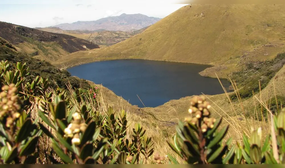 Huaringa proviene de la palabra aymara que significa Huari o líquido espeso. Foto: archivo del Instituto de Montaña