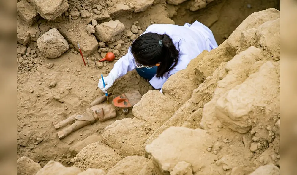 Pieza arqueológica representaría a un cargador de andas. Foto: DDCLL