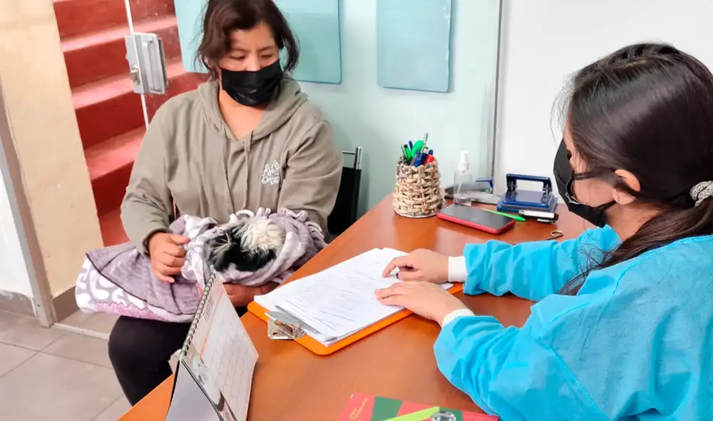 La iniciativa se encuentra específicamente a cargo de la Gerencia de Medio Ambiente. Foto: Municipalidad de Cusco/difusión