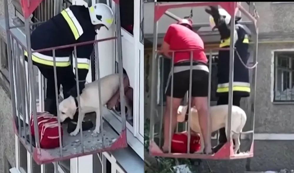 Un perrito fue rescatado de un edificio dañado por ataques en Ucrania. Foto: captura de ABC Un perrito fue rescatado de un edificio dañado por ataques en Ucrania. Foto: captura de ABC