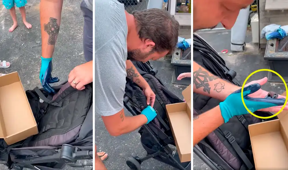 Pese a que el animal tenía un diminuto tamaño, el hombre se aseguró de tocarlo con cuidado para que no le hiciera daño ni a él ni a su familia. Foto: composición LR/ Clarín