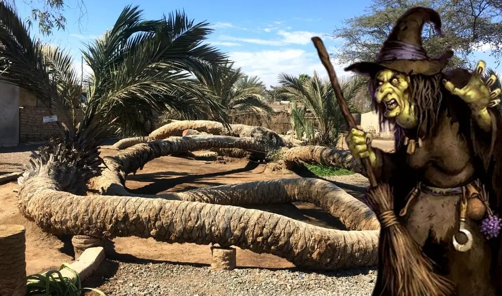 La Palmera de 7 cabezas está ubicada en Ica. Foto: composición LR/viajesdelperu/cecile