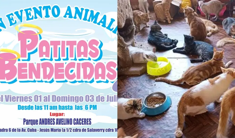 Evento busca concientizar a la población. Foto: composición La República / Facebook Evento busca concientizar a la población. Foto: composición La República / Facebook