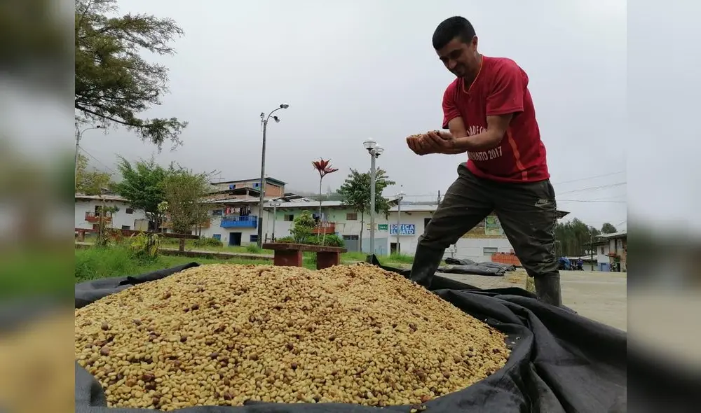Los postulantes a proveedores de los servicios de extensión podrán ser personas naturales o jurídicas. Foto: Agro Rural Los postulantes a proveedores de los servicios de extensión podrán ser personas naturales o jurídicas. Foto: Agro Rural